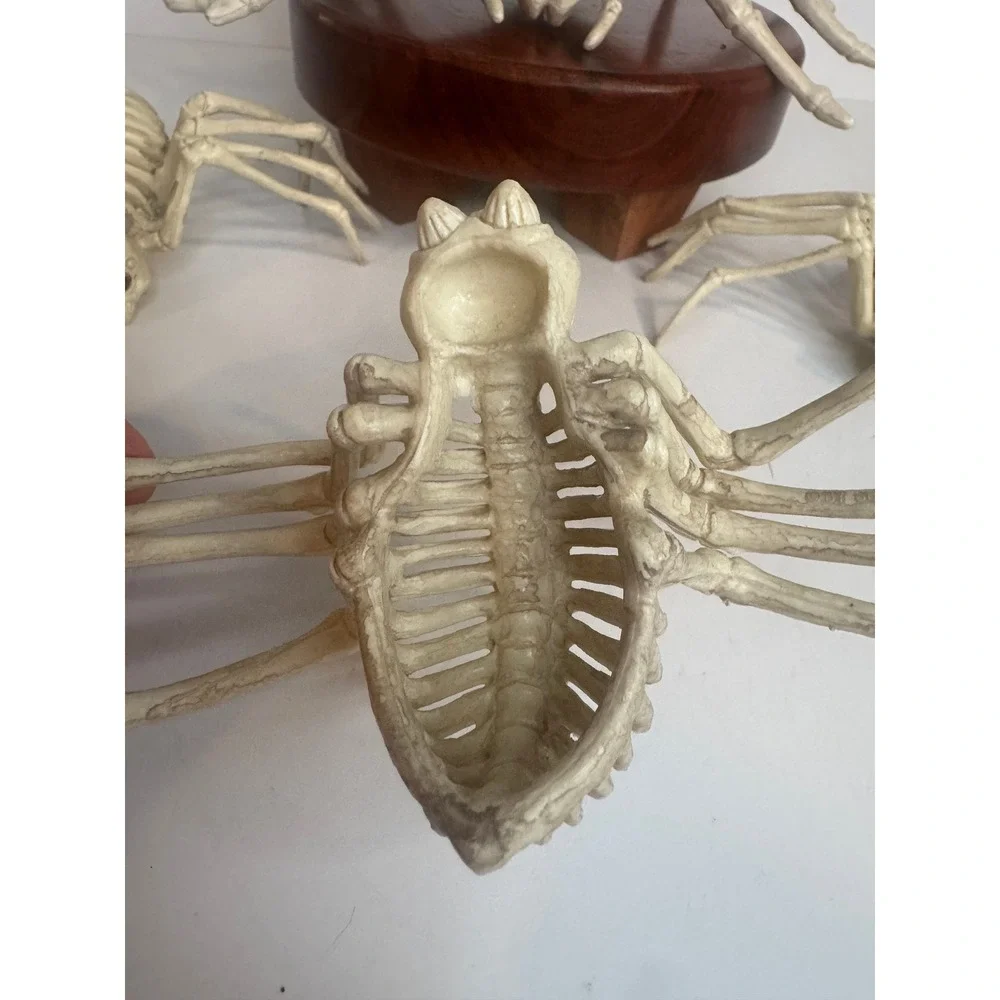 Halloween Skeleton‎ Spider Lot of 4 Creepy Skeleton Spiders Spooky Decor